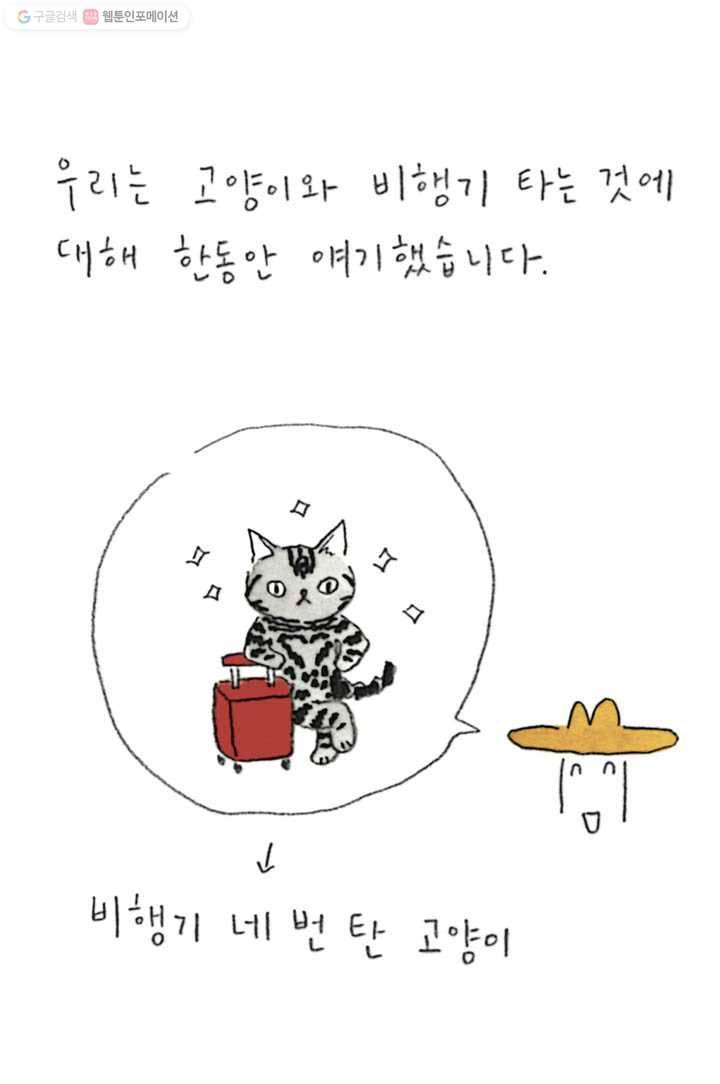 은동은동+옹동스 98화. 고양이와 비행기 타기 6