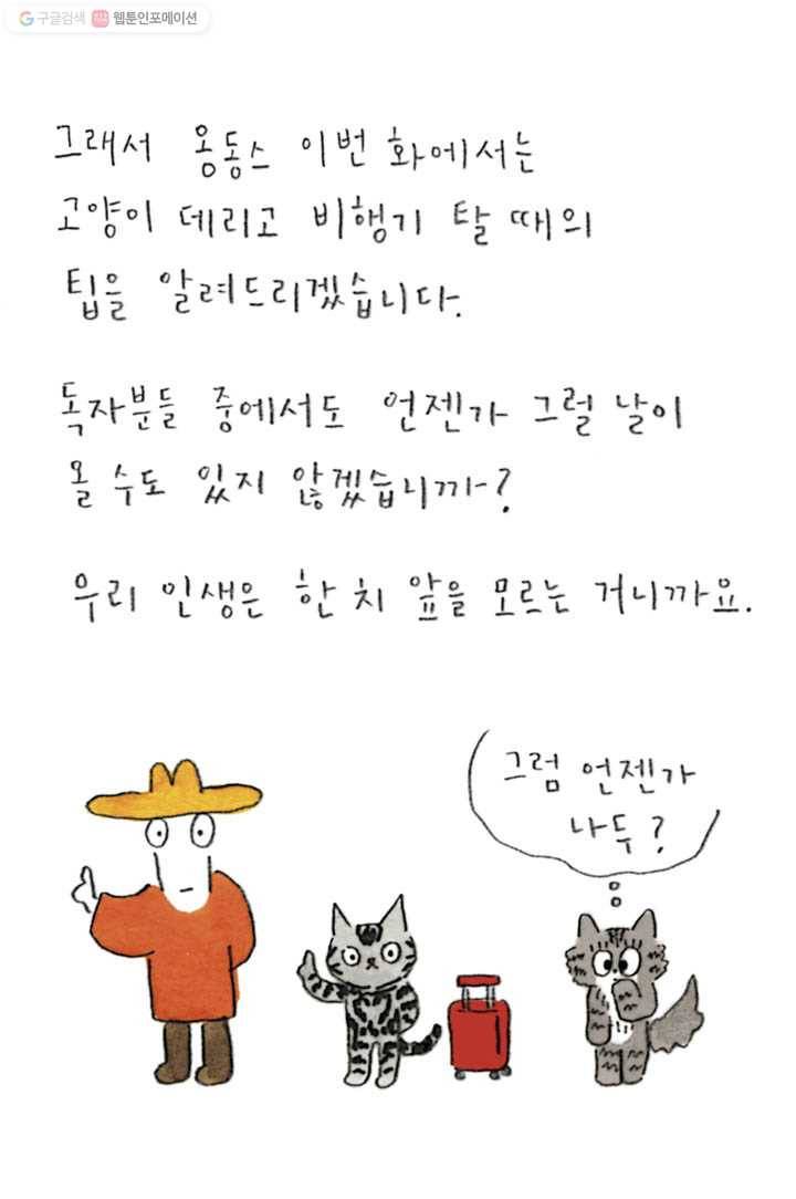 은동은동+옹동스 98화. 고양이와 비행기 타기 7