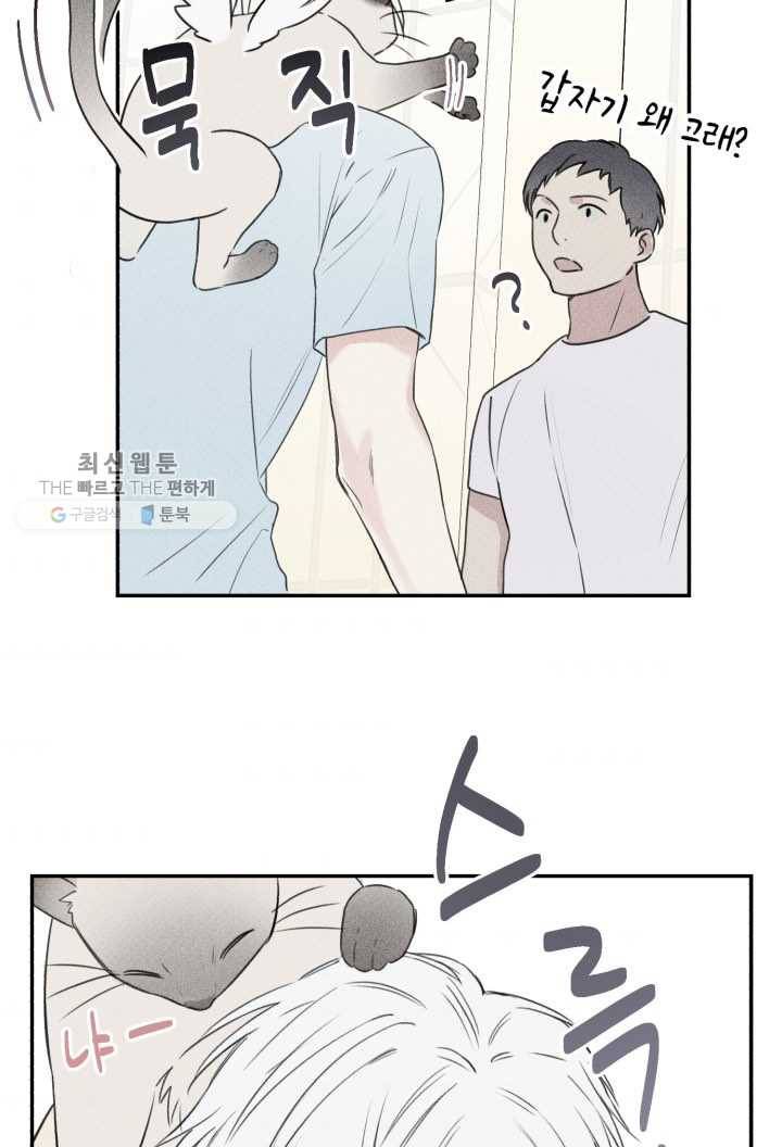 엔젤 버디 23화 7