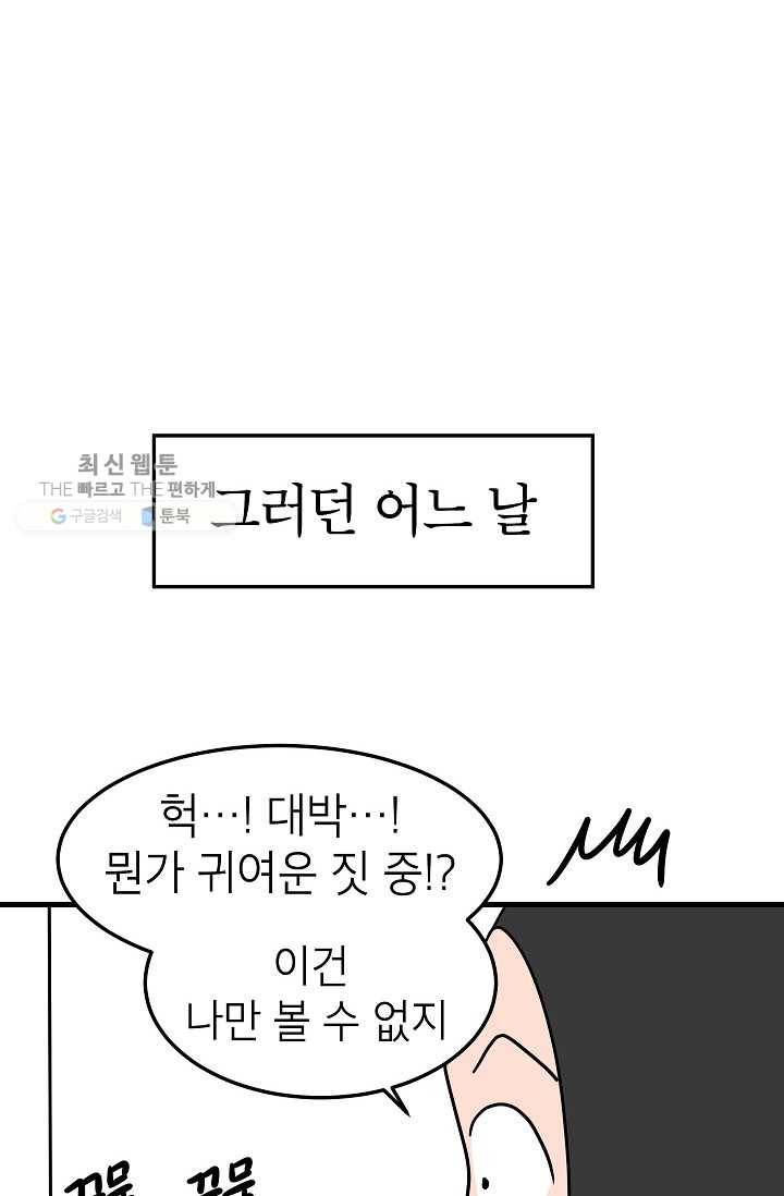 넘 많은 고양! 052화 8