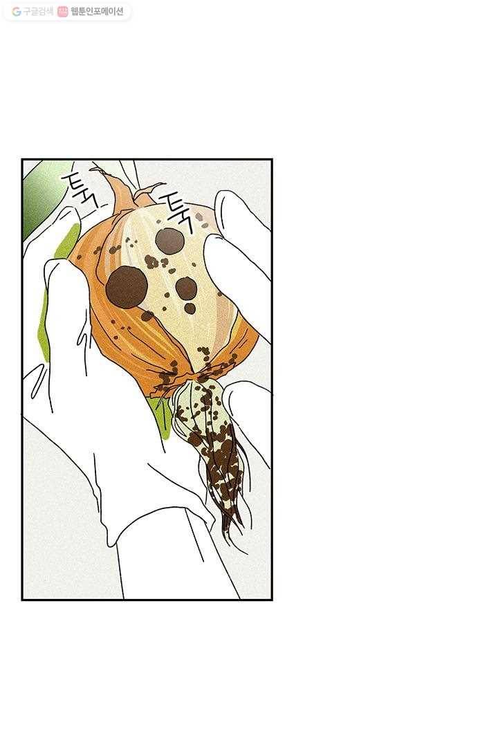 밀과 보리가 자란다 7화 72