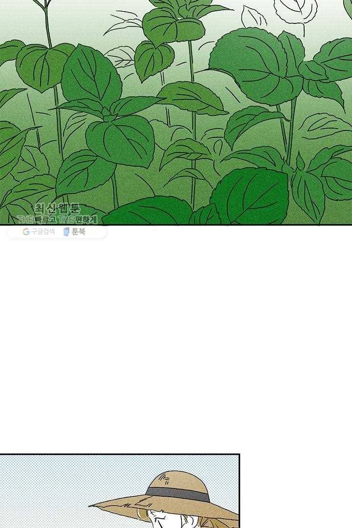 밀과 보리가 자란다 27화 31