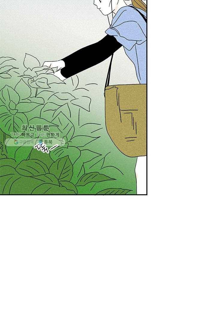 밀과 보리가 자란다 27화 32