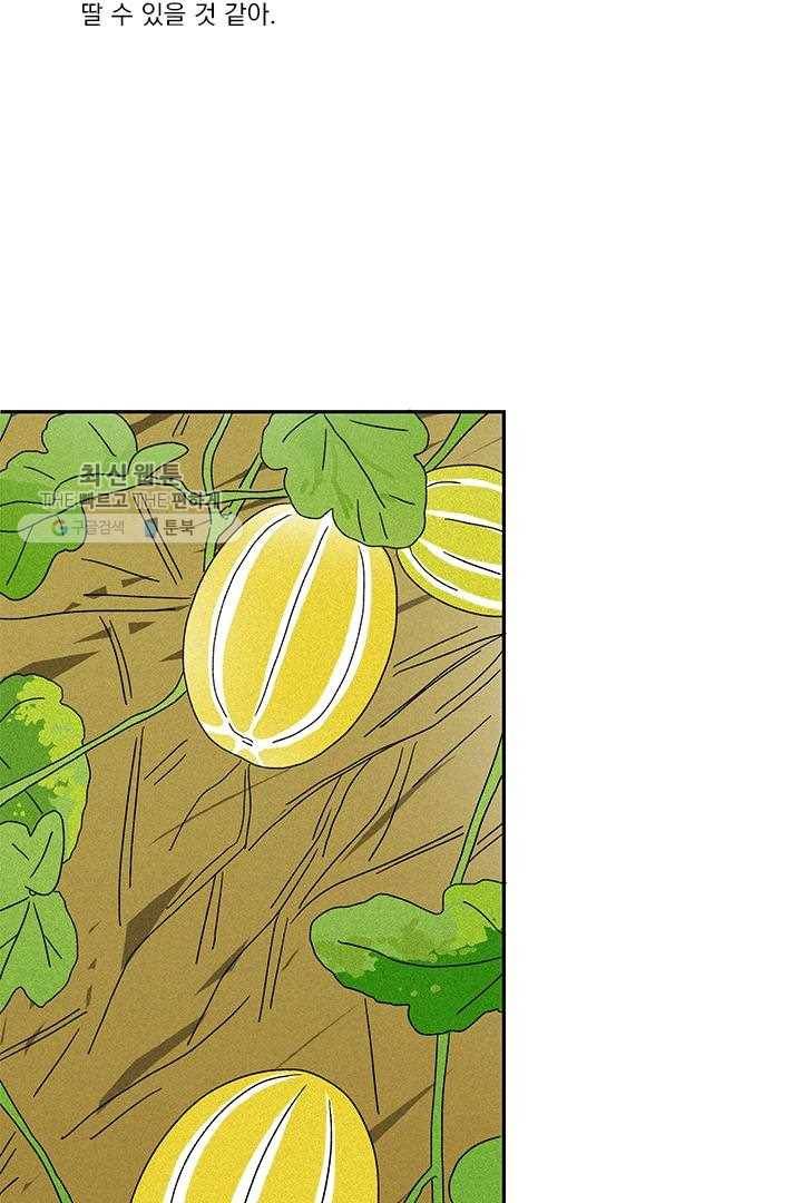 밀과 보리가 자란다 27화 40