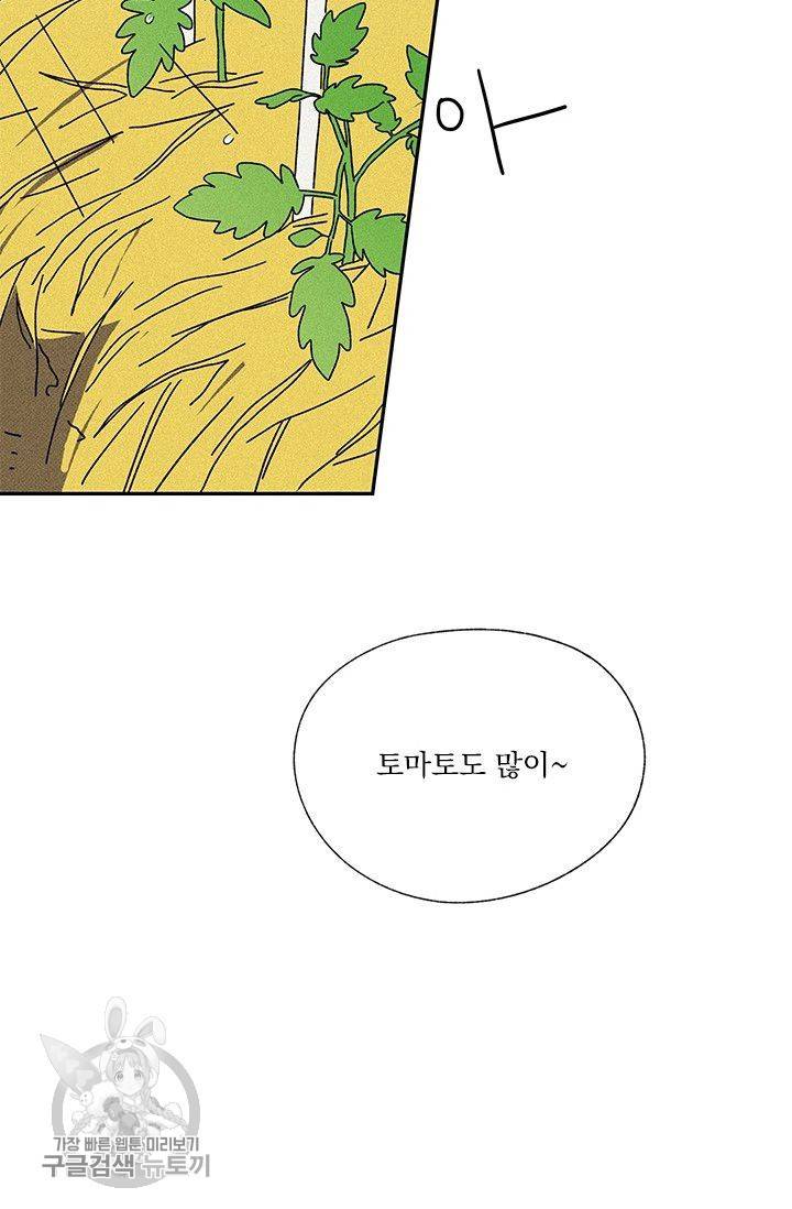 밀과 보리가 자란다 52화 12