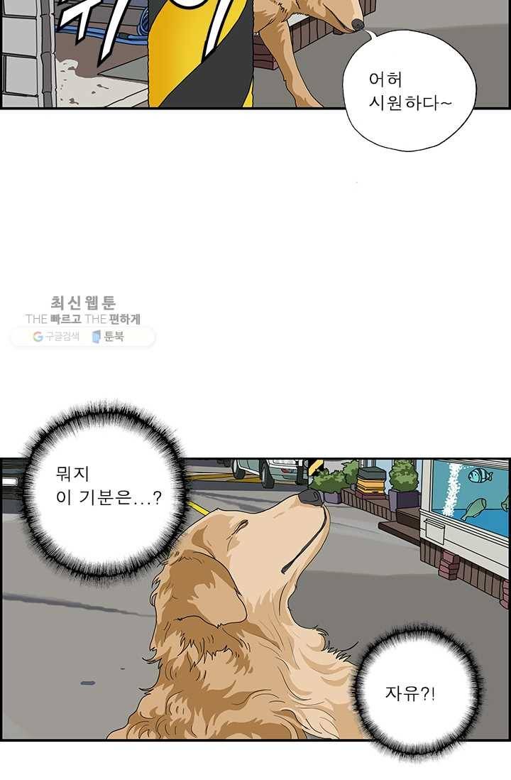 엄마는 외국인 시즌4 110화 개가 된다 7