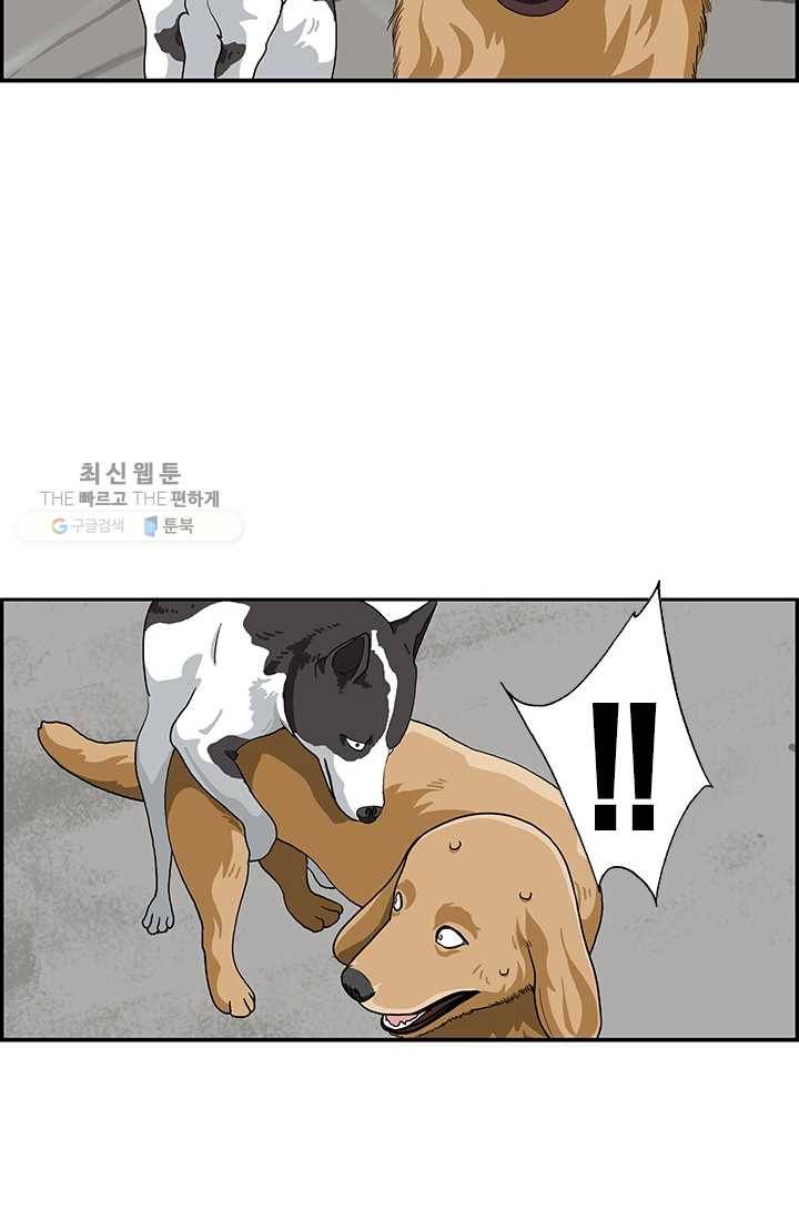 엄마는 외국인 시즌4 110화 개가 된다 12