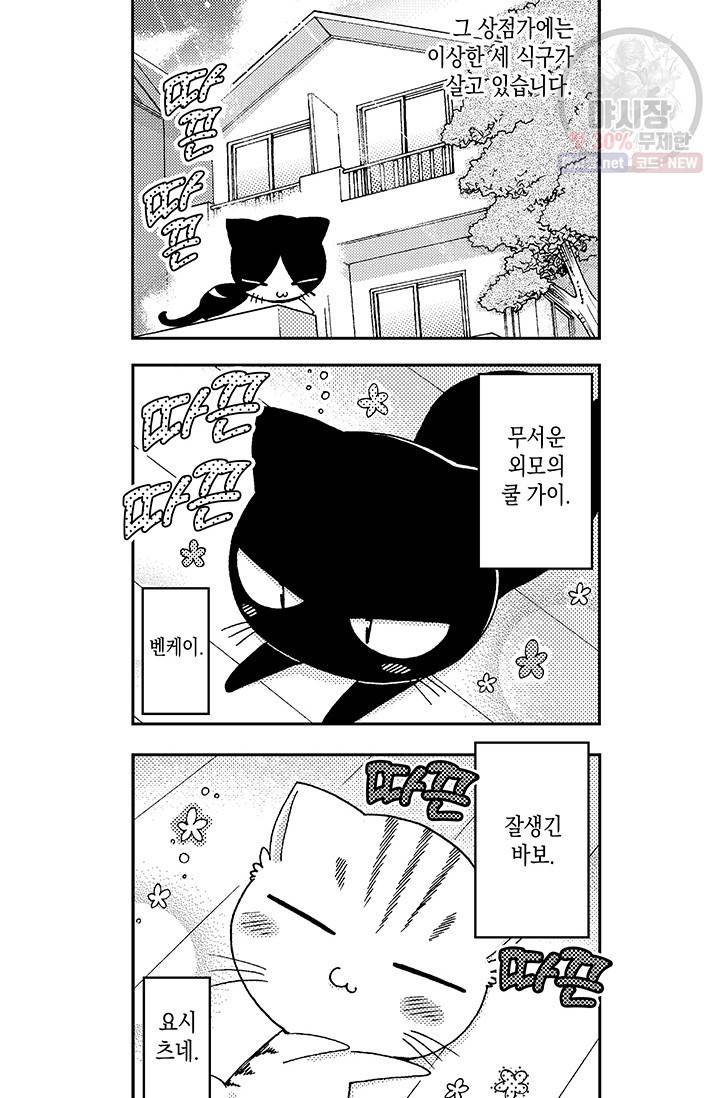 아시야 씨네 고양이 38화 3