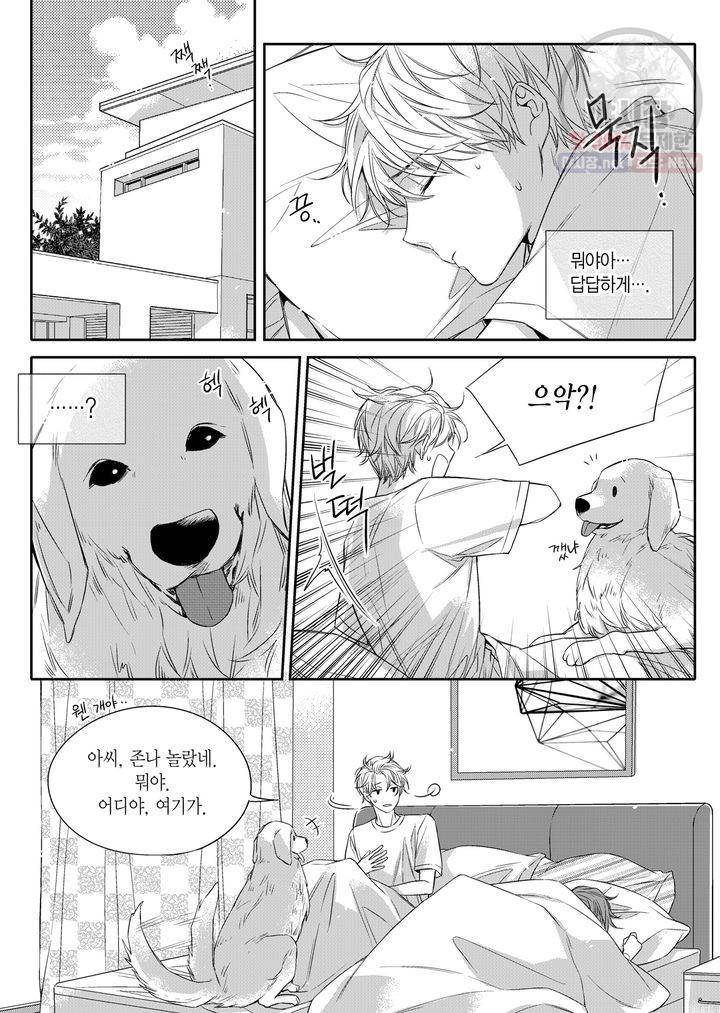 비의도적 연애담 6화 6