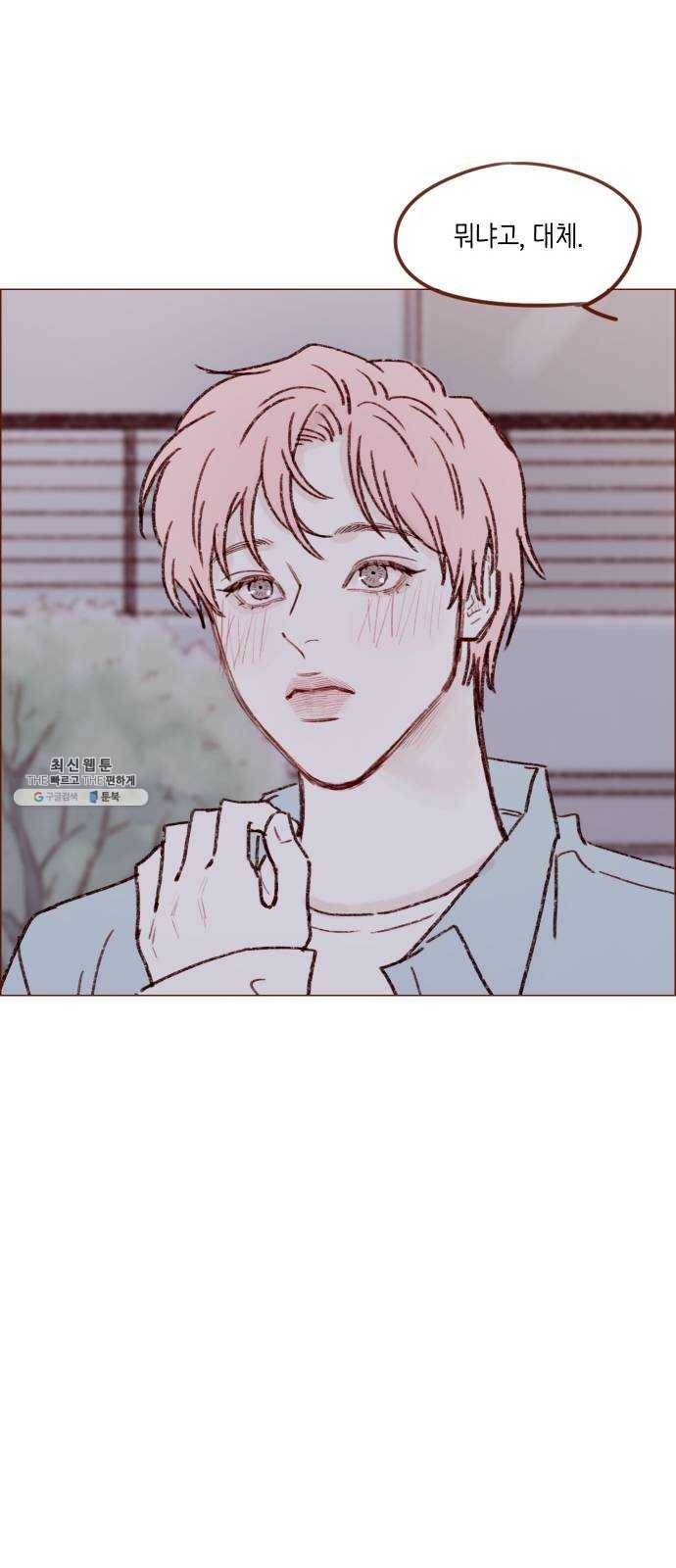 홍시는 날 좋아해! 164화 ： 너라서 그런 거였어 39