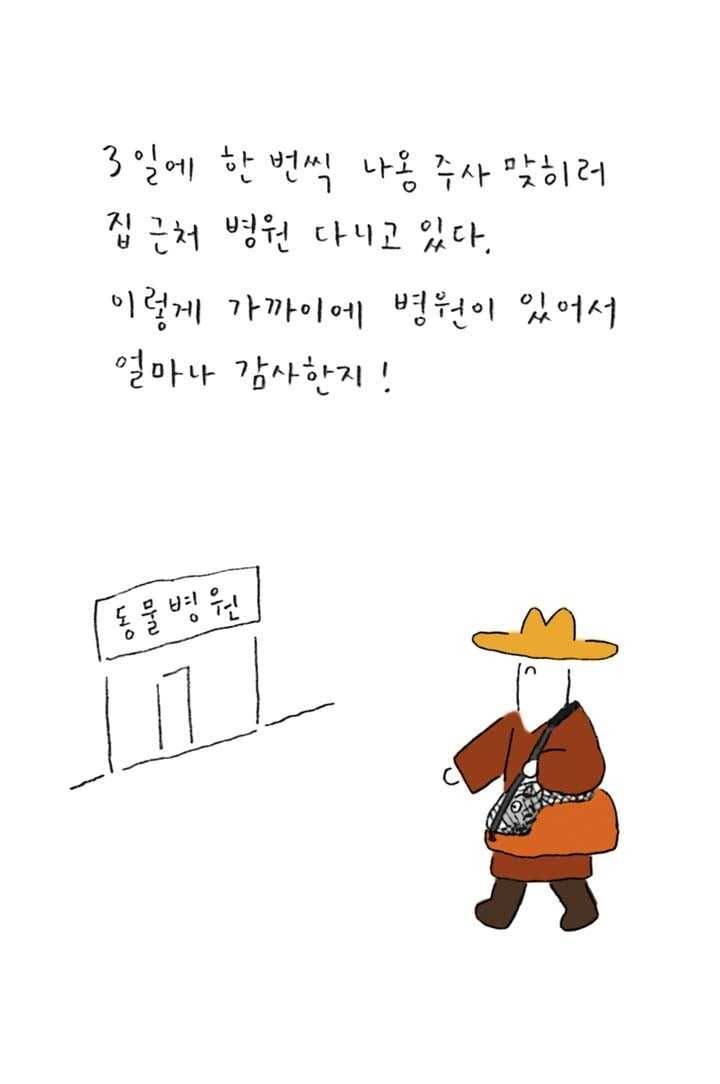 은동은동+옹동스 134화. 너의 특별한 시간 2