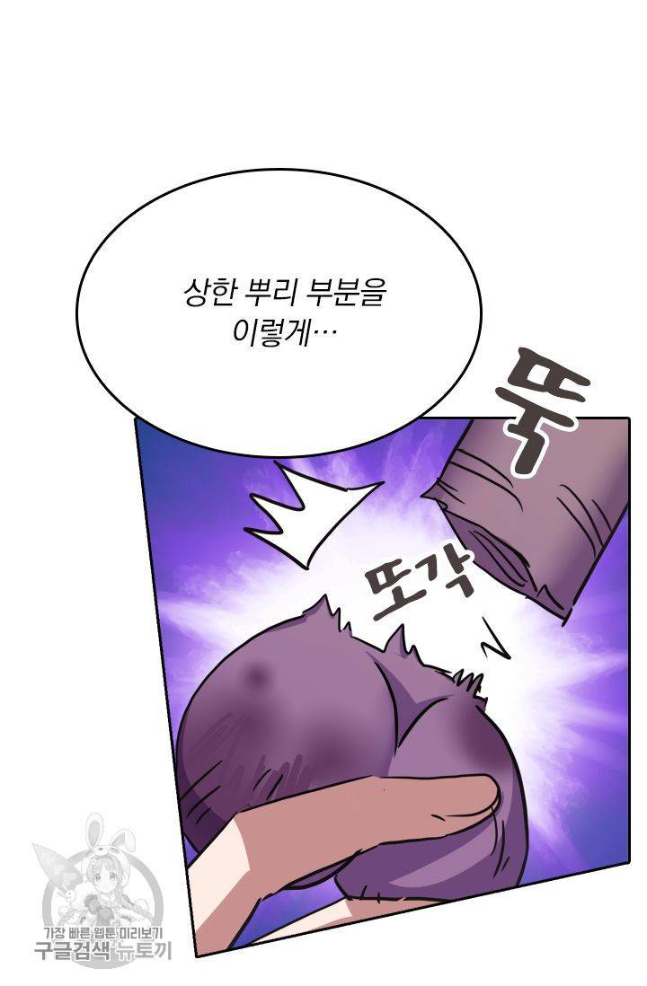 영검존 246화 17