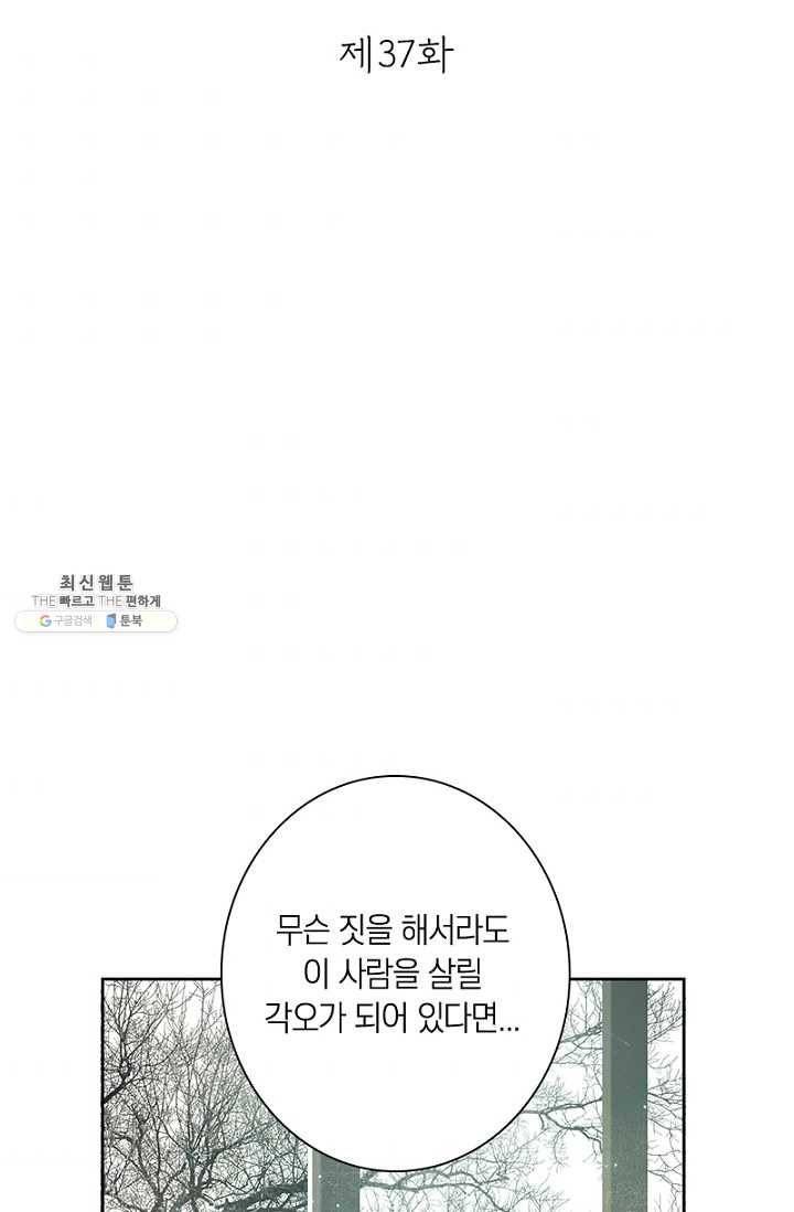 고홍 37화 2