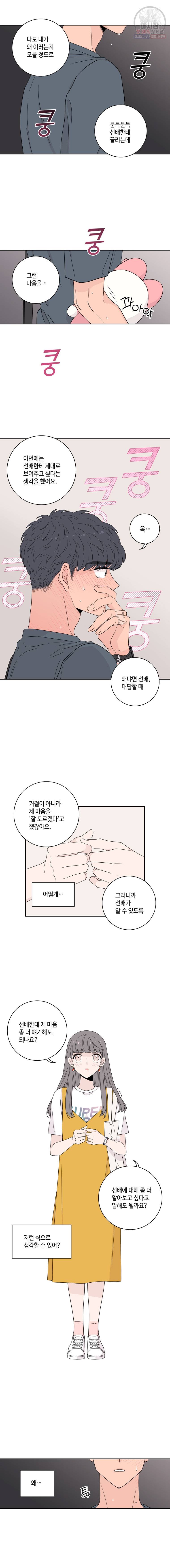 토이 콤플렉스 12화 12
