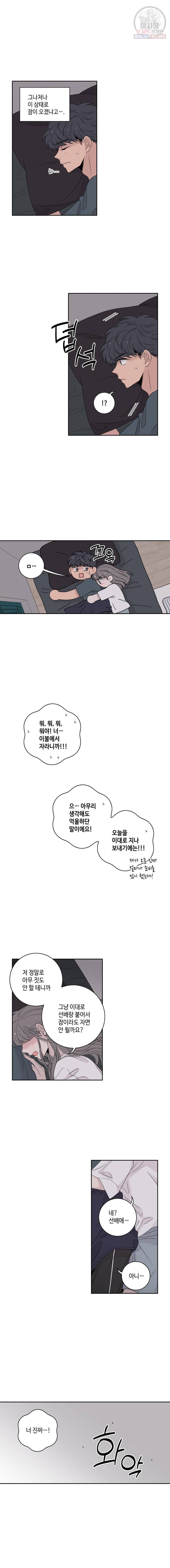 토이 콤플렉스 20화 5