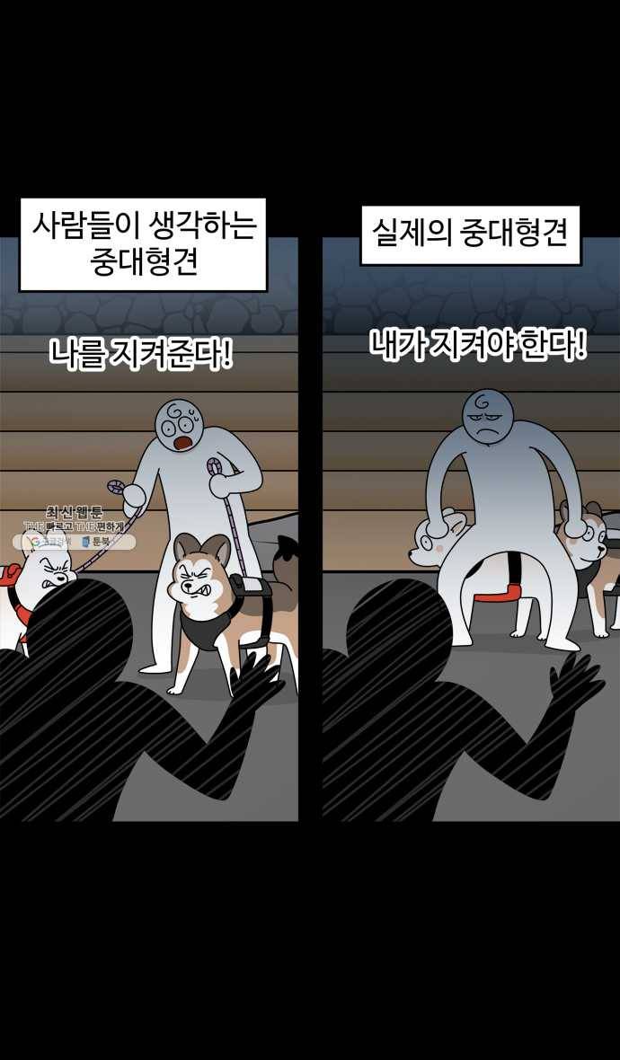 노곤하개 시즌4 47화 나는 겁이 많다 10