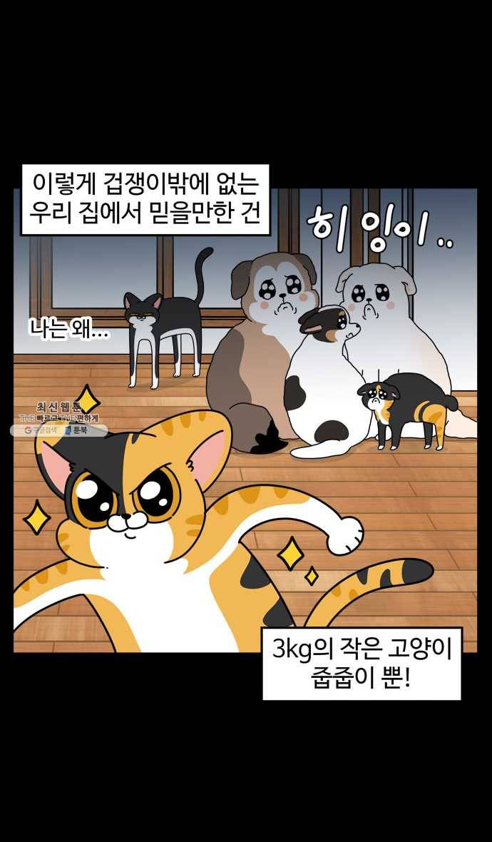 노곤하개 시즌4 47화 나는 겁이 많다 18