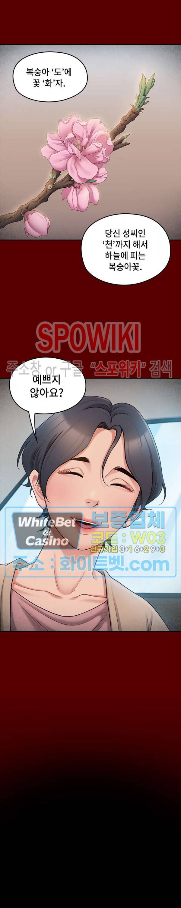 도화 67화 최종화 2