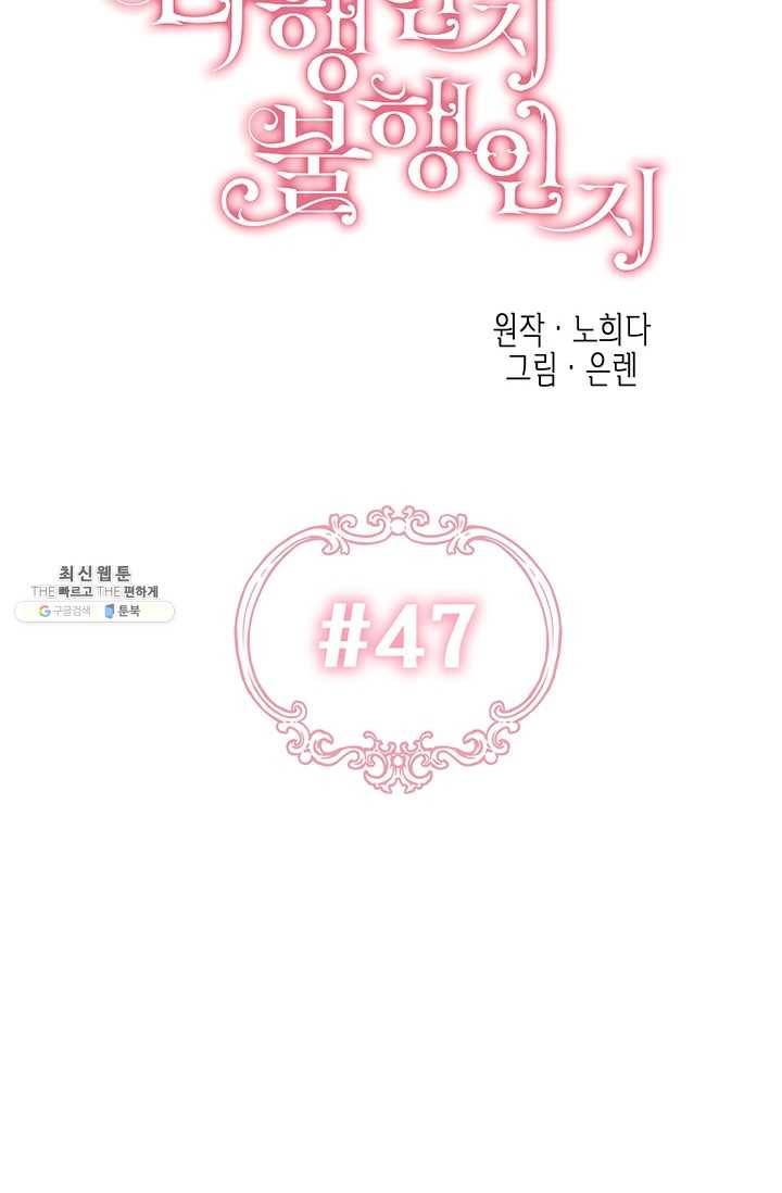다행인지 불행인지 47화 17