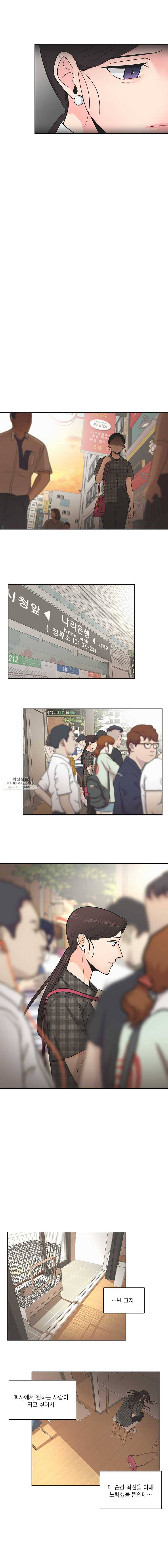 그녀의 앵무새 46화 선물 같은 하루(1) 9