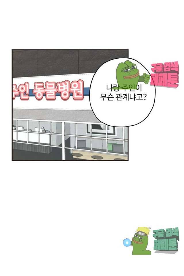 멍멍냥냥 63화 1