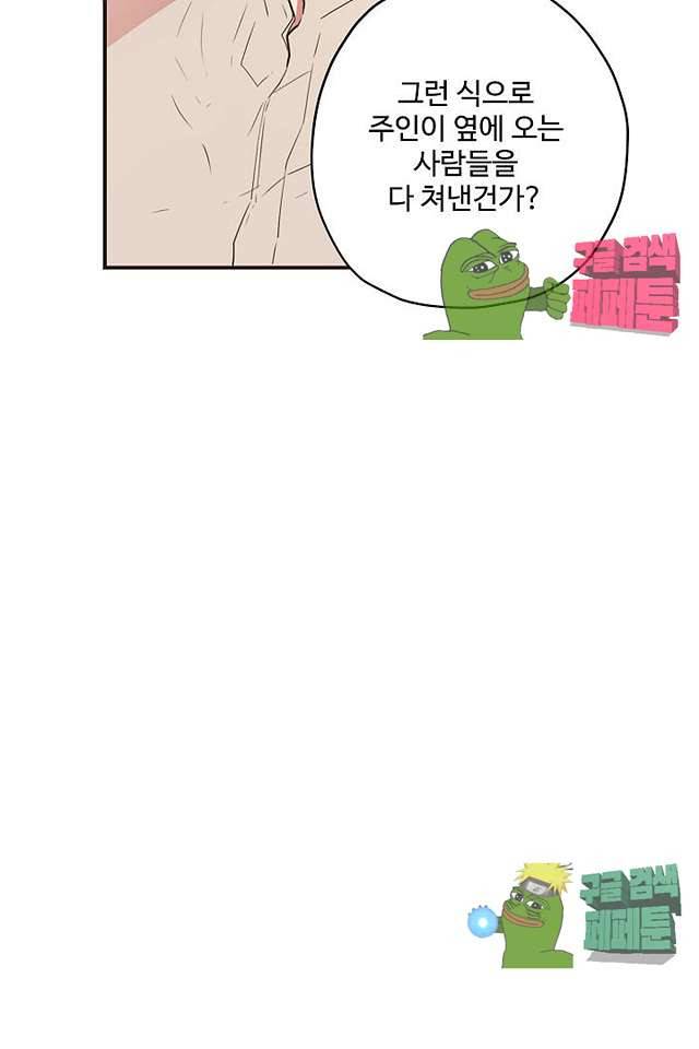 멍멍냥냥 63화 15