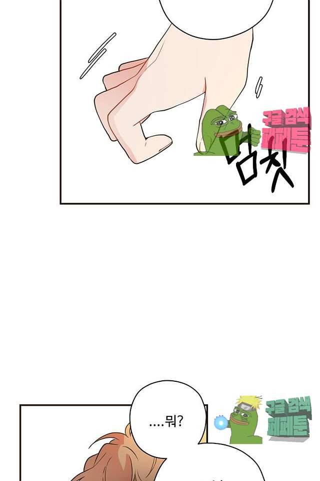 멍멍냥냥 63화 38