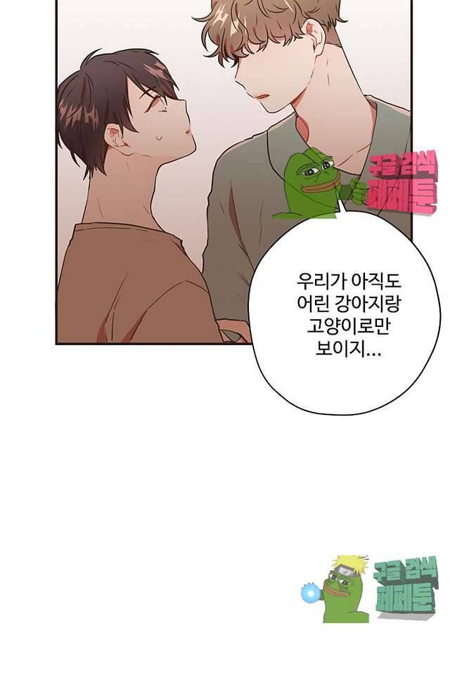 멍멍냥냥 63화 52