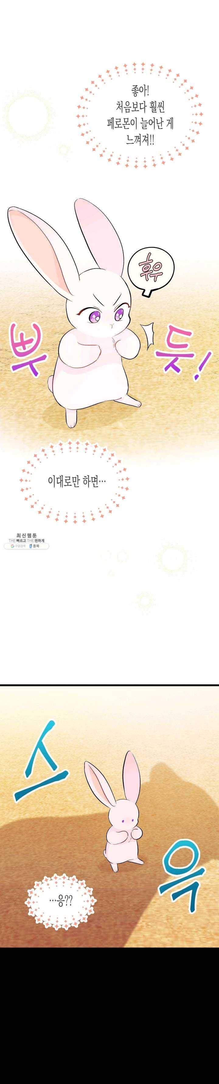 토끼와 흑표범의 공생관계 23화 2