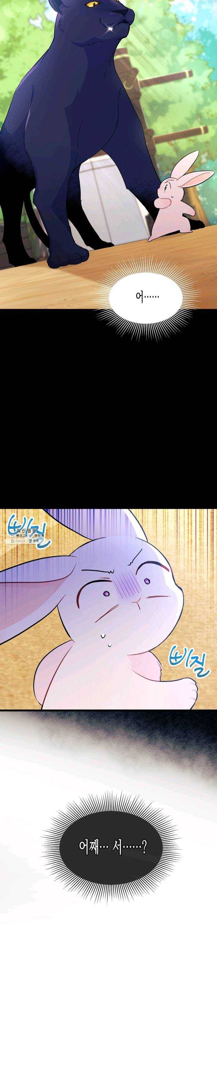 토끼와 흑표범의 공생관계 23화 4
