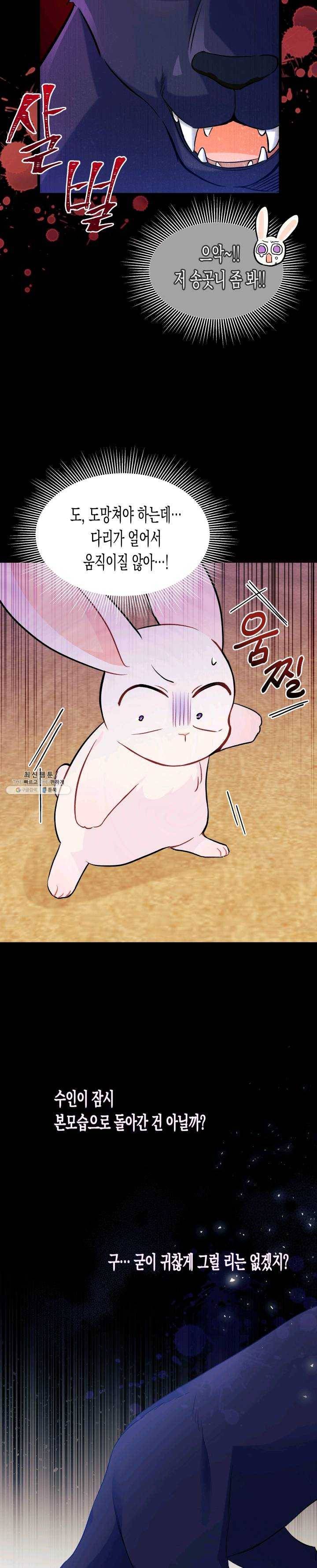 토끼와 흑표범의 공생관계 23화 7