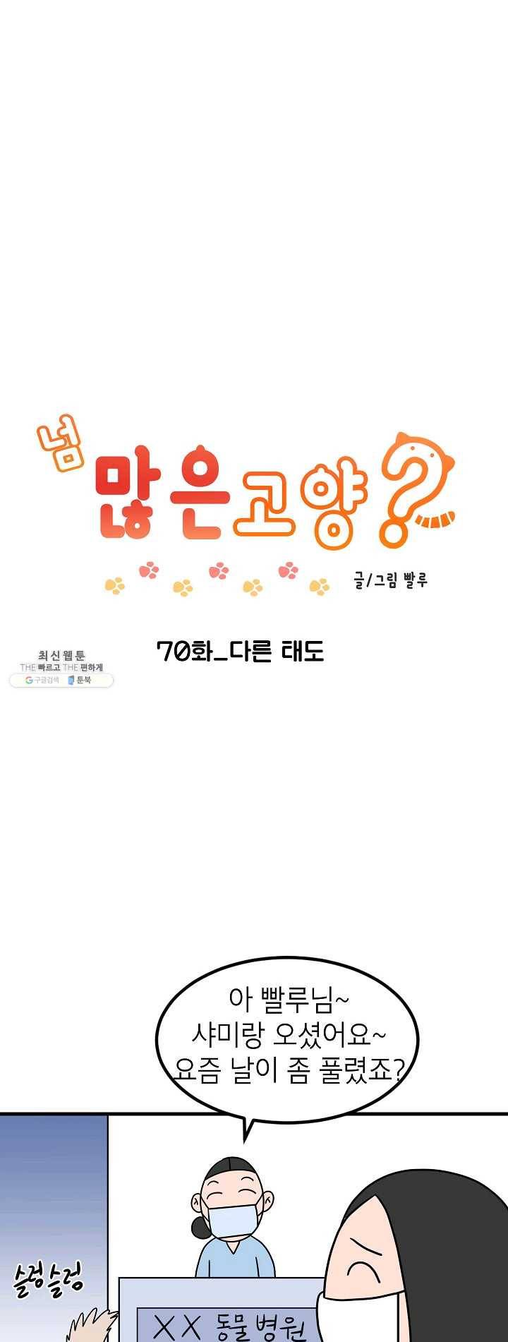넘 많은 고양! 071화 1