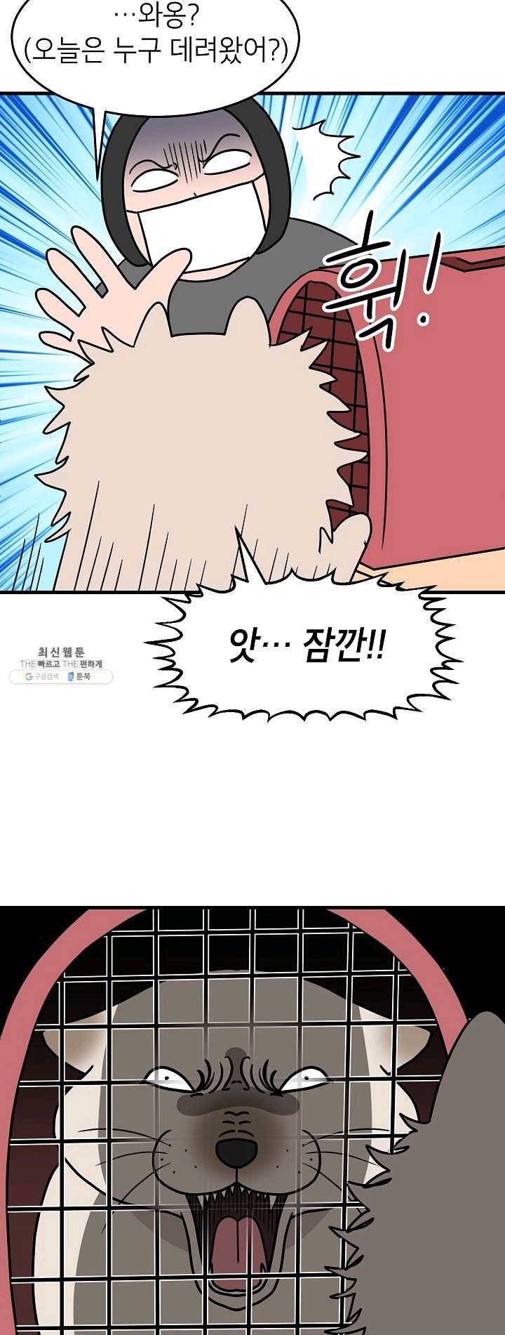 넘 많은 고양! 071화 3