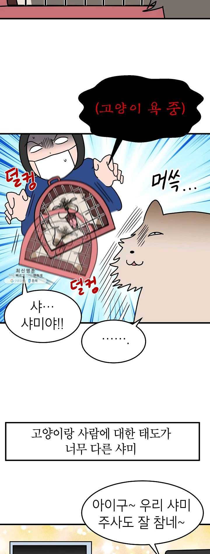 넘 많은 고양! 071화 4