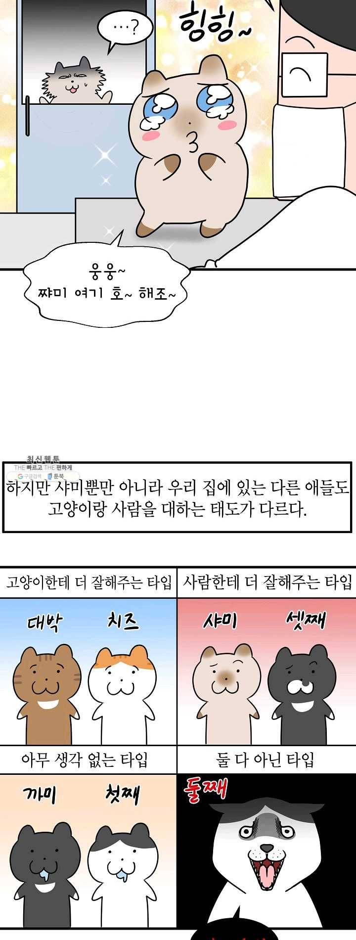 넘 많은 고양! 071화 5