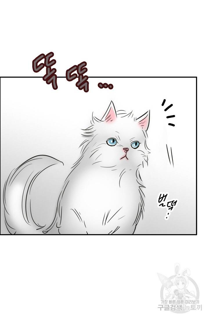 연하어택 50화 8