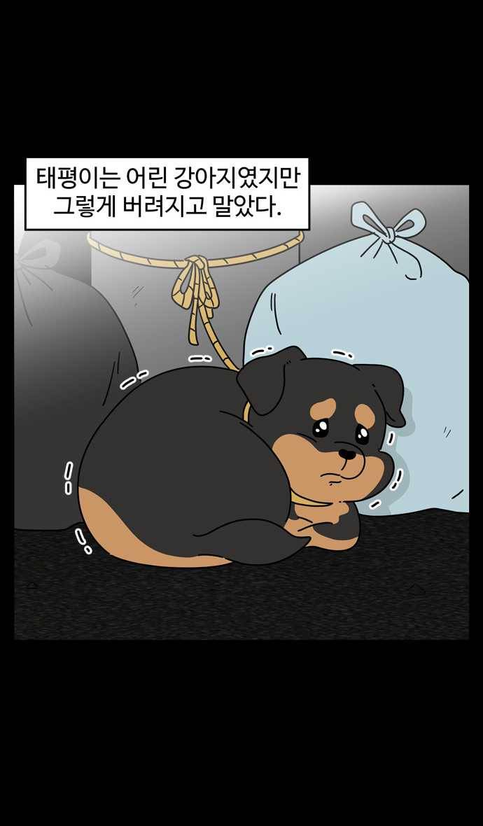 노곤하개 시즌4 58화 유기동물 쉼터 이야기 (3) 2
