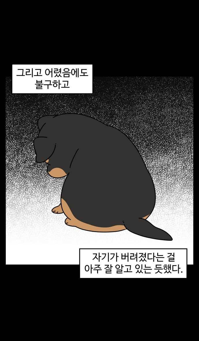 노곤하개 시즌4 58화 유기동물 쉼터 이야기 (3) 3