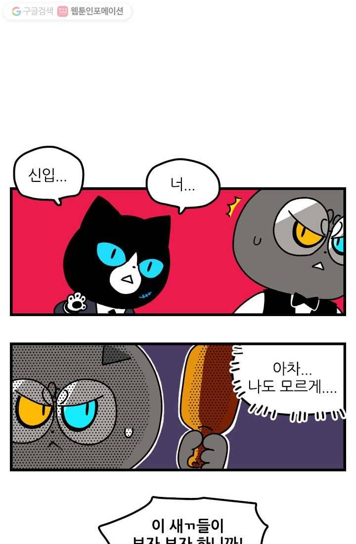 신세개냥 49화 2