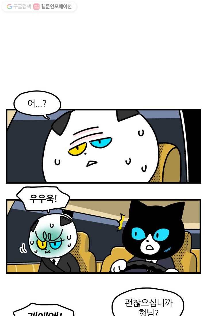 신세개냥 79화 2