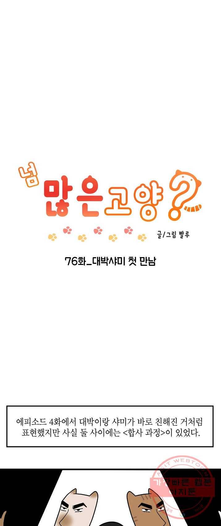 넘 많은 고양! 077화 1