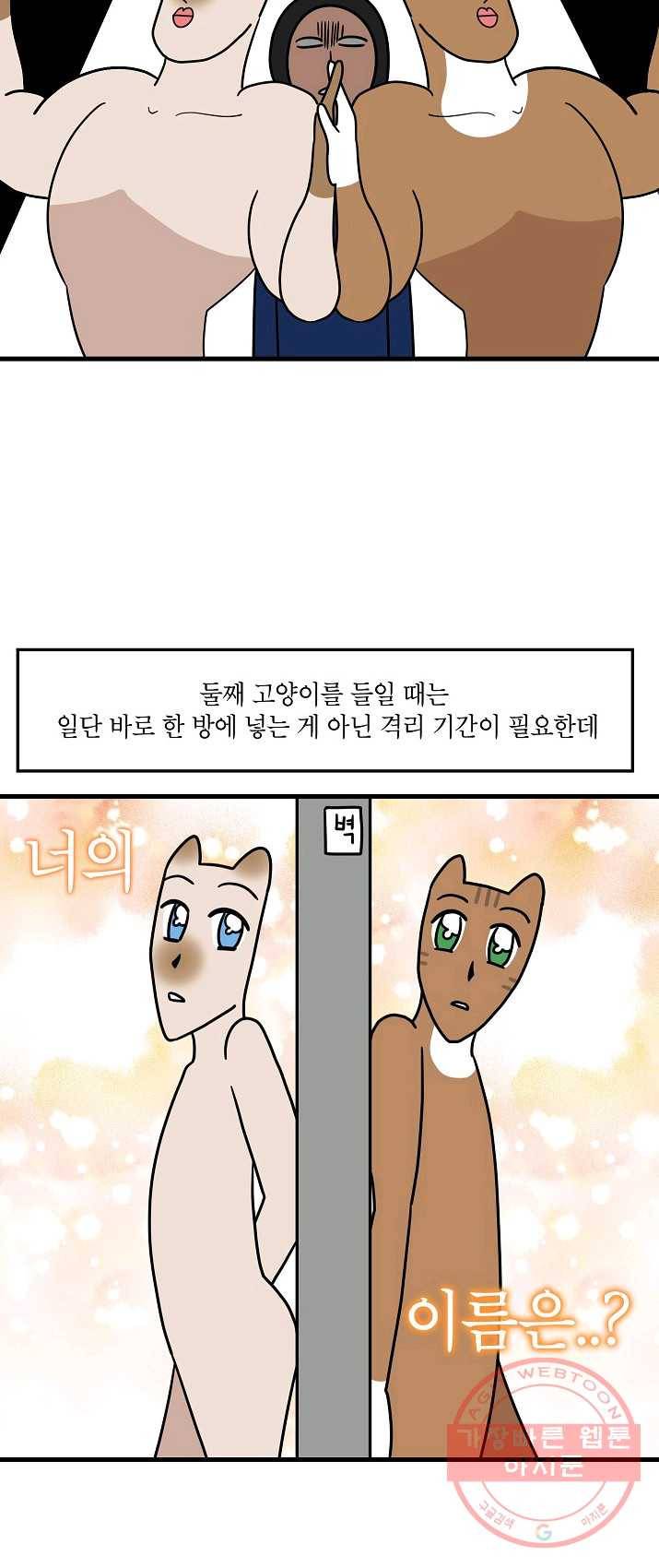 넘 많은 고양! 077화 2
