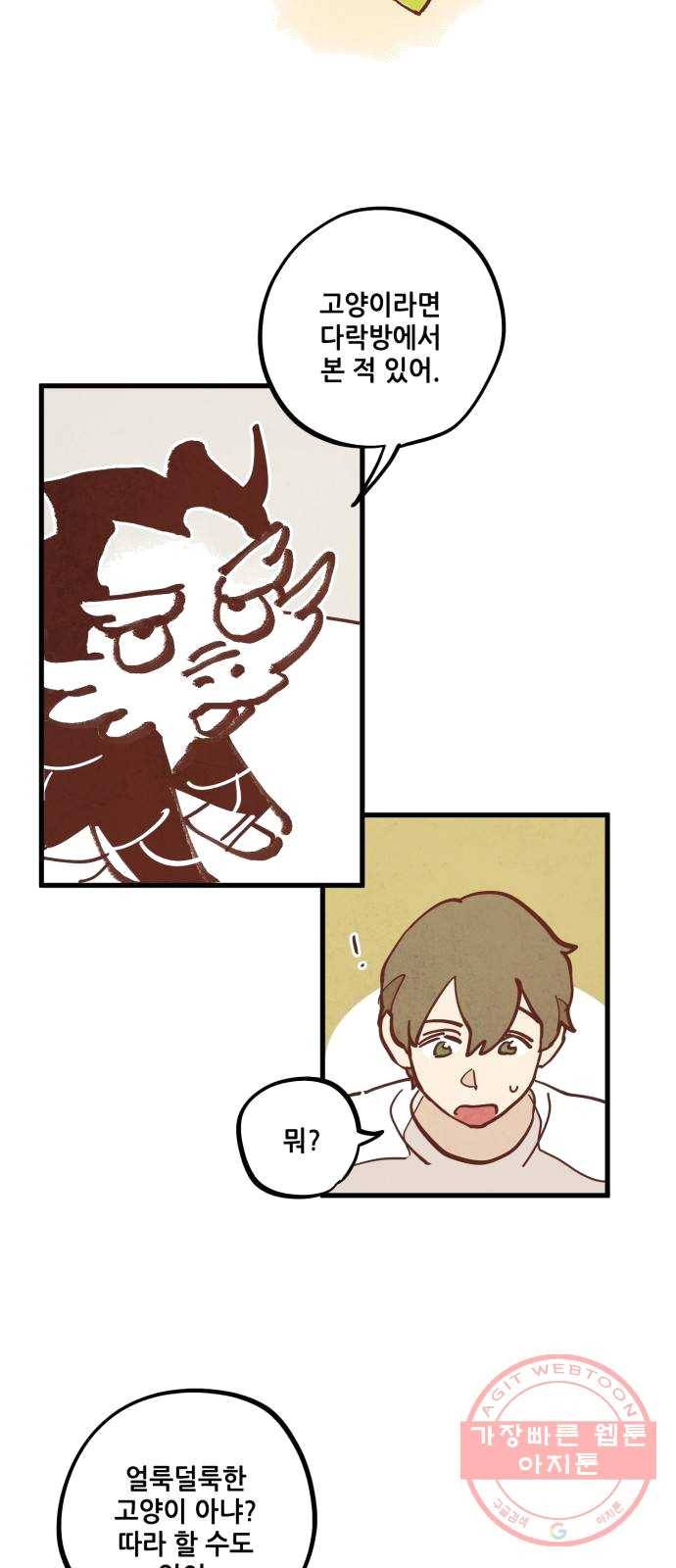 인문학적 감수성 31화: 귤나무와 삼색고양이(3) 6