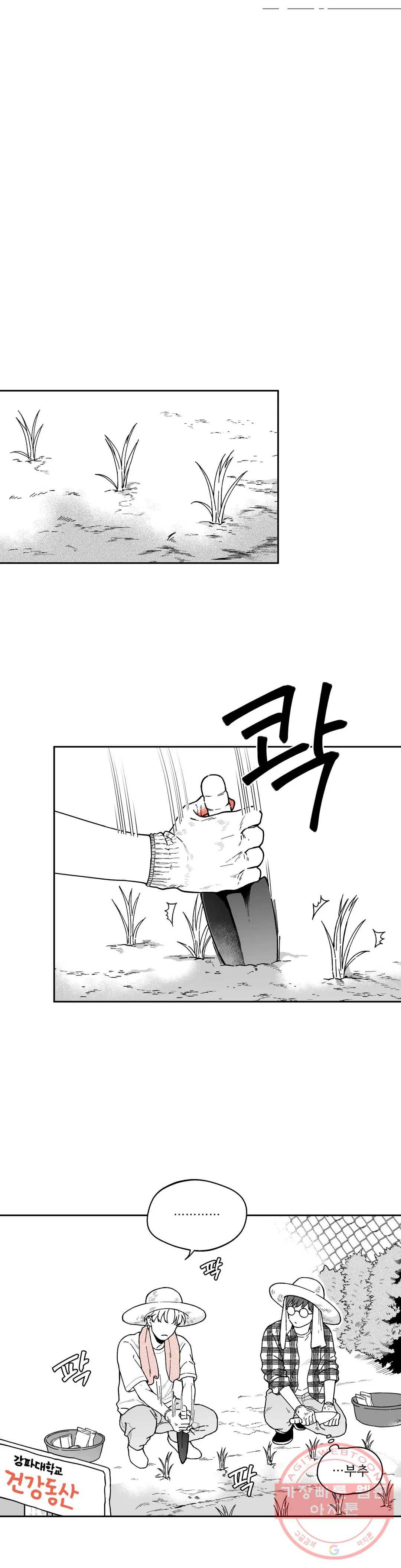 패스, 논패스 11화 당근과 반지 11 12