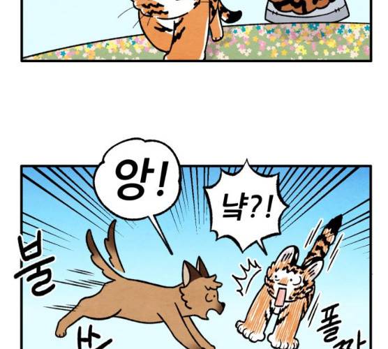 범이올시다! 61화 18