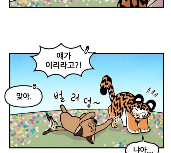 범이올시다! 61화 22