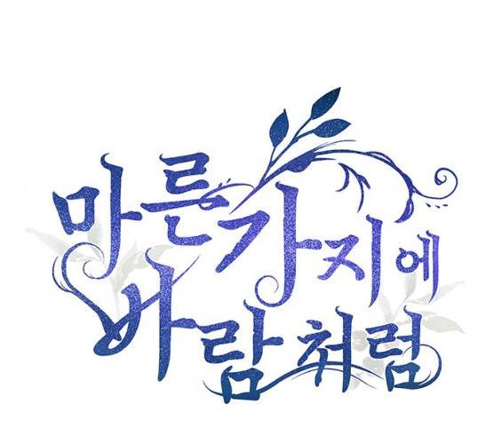 마른 가지에 바람처럼 45화 38