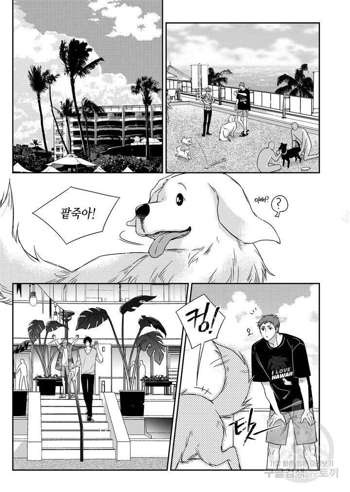 비의도적 연애담[무삭제판] 외전 8화 13