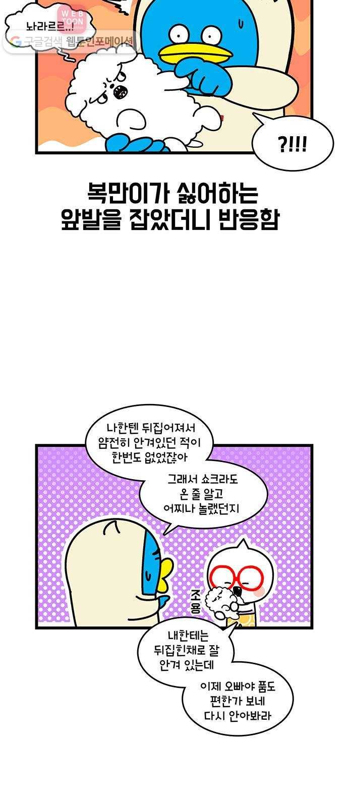 윌유메리미 시즌2 364화 반려동물 근황 3／4 - 납짝눈이 4