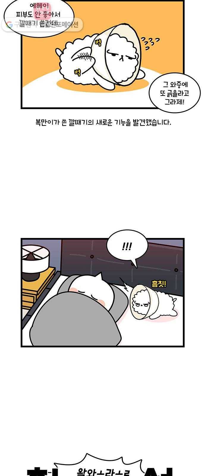 윌유메리미 시즌2 364화 반려동물 근황 3／4 - 납짝눈이 6